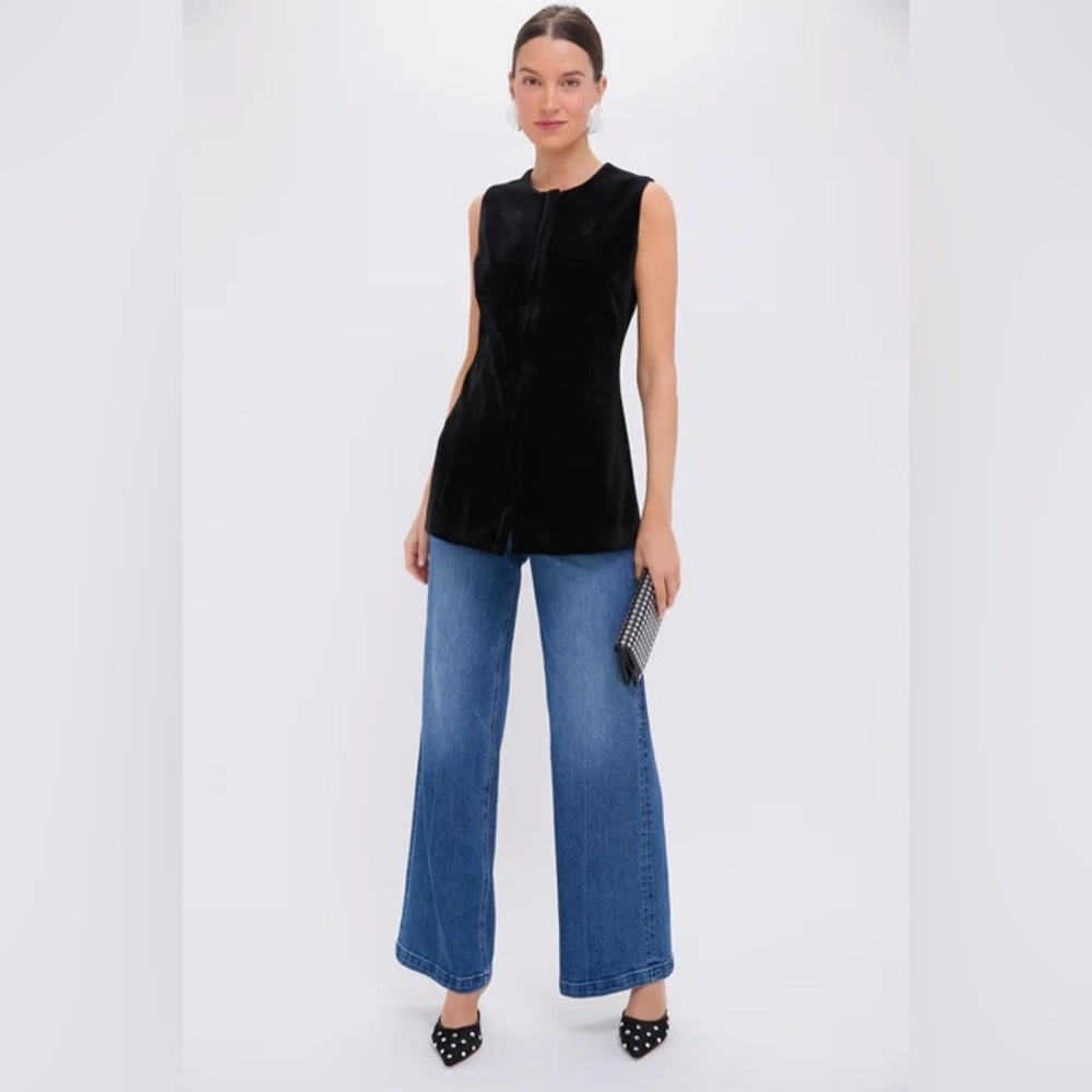 BNWT Tuckernuck Black Velvet Rhoda Top - Medium